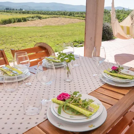 Apartment Campo All'olmo